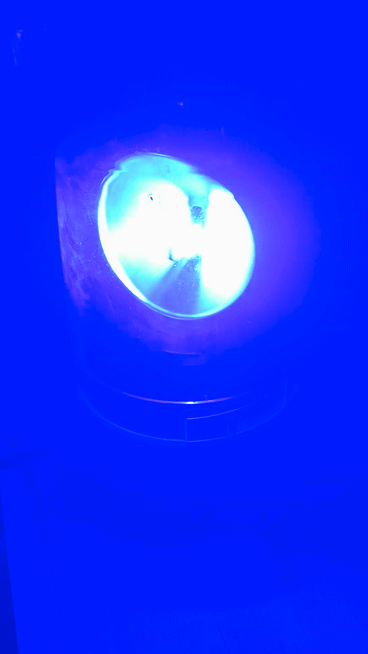 H1 LED Bulbs 9–32V - Image 4