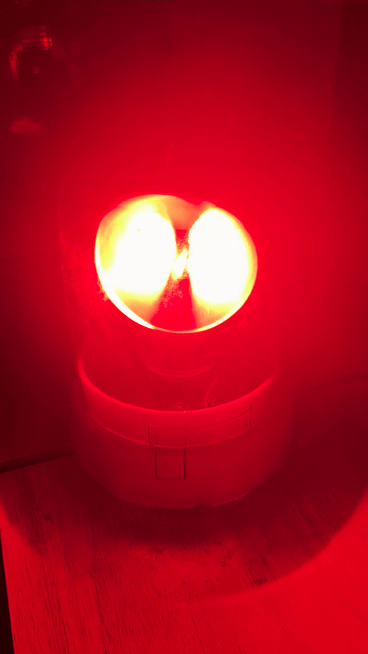 H1 LED Bulbs 9–32V - Image 3