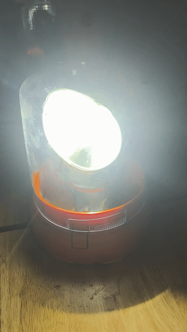H1 LED Bulbs 9–32V - Image 5